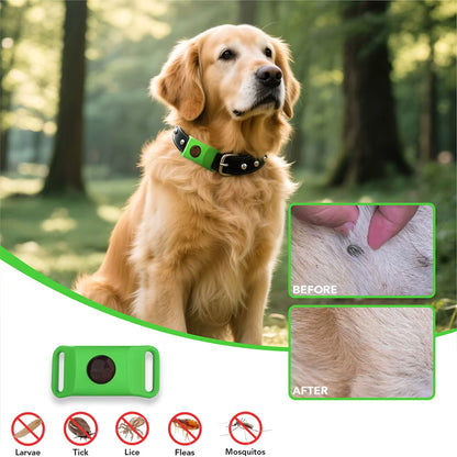 TickGuardian™ – Natural Flea & Tick Protection (Up to 12 Months)FREE TODAY