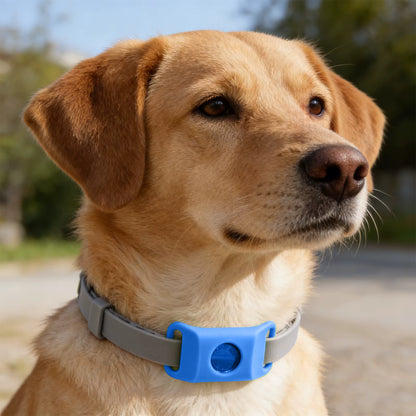 TickGuardian™ – Natural Flea & Tick Protection (Up to 12 Months)FREE TODAY
