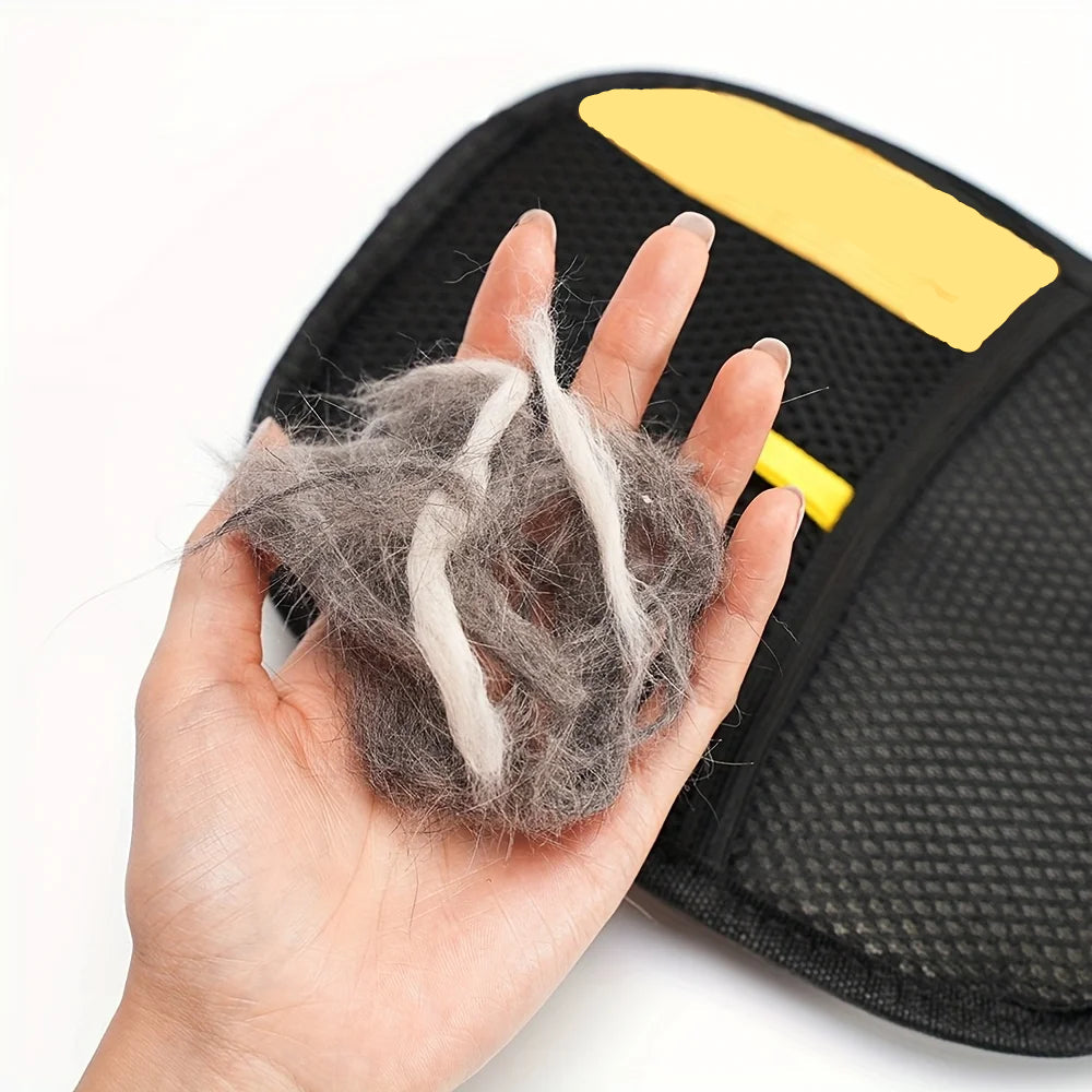 FurMagic Glove FREE TODAY