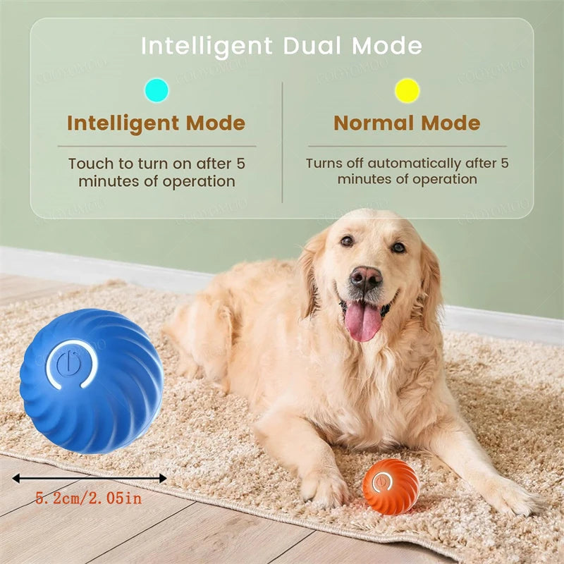 PawDrive interaktive Pet Toy Ball Test