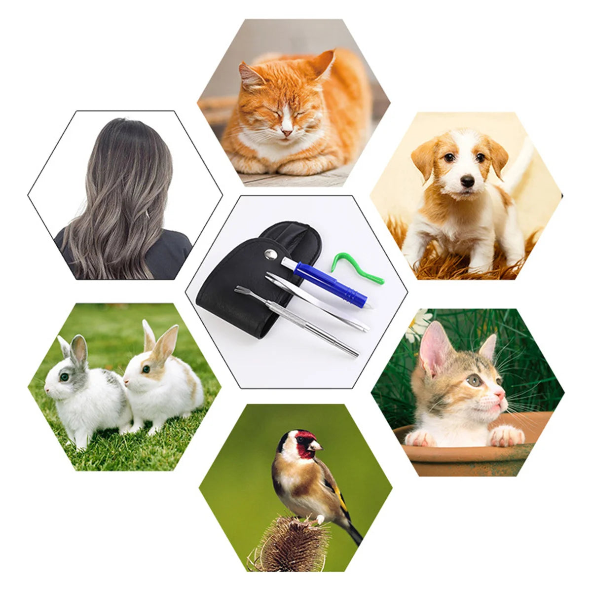 Your Portable First Aid Solution for Safe Tick Removal – For Humans &amp; Pets