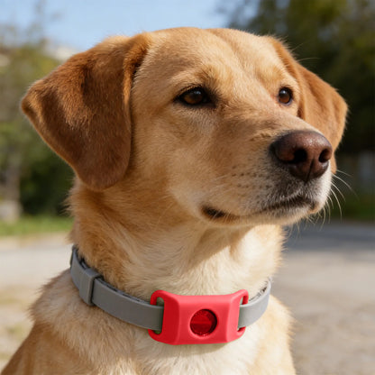 TickGuardian™ – Natural Flea & Tick Protection (Up to 12 Months)FREE TODAY