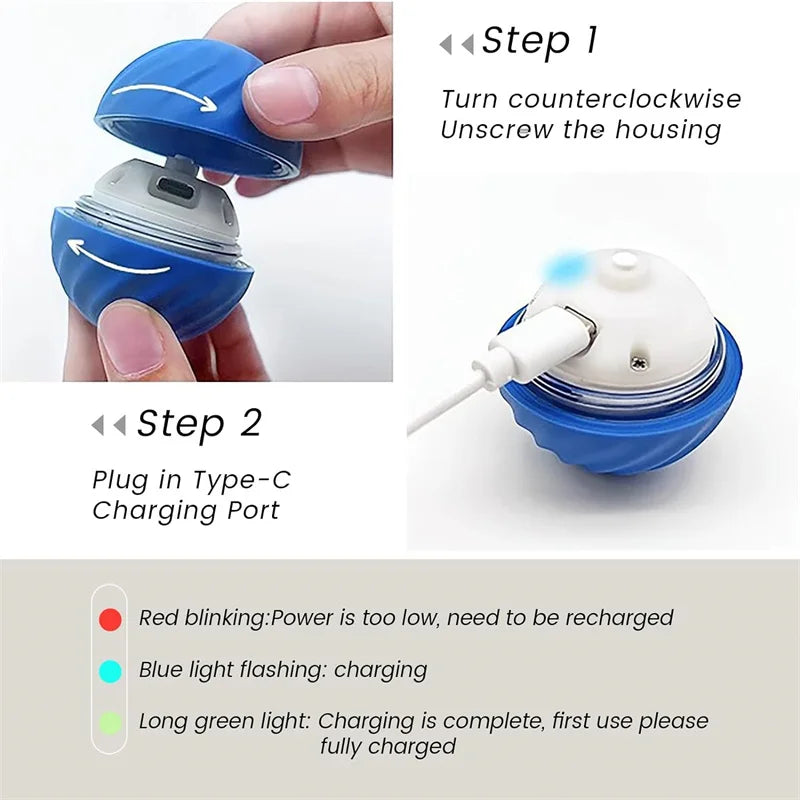 PawDrive interaktive Pet Toy Ball Test