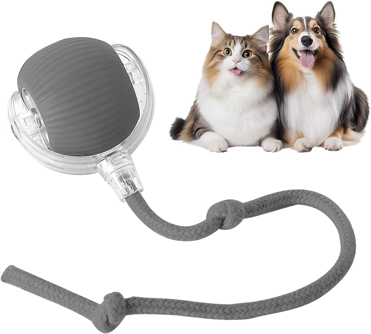 PawDrive interaktive Pet Toy Ball Test