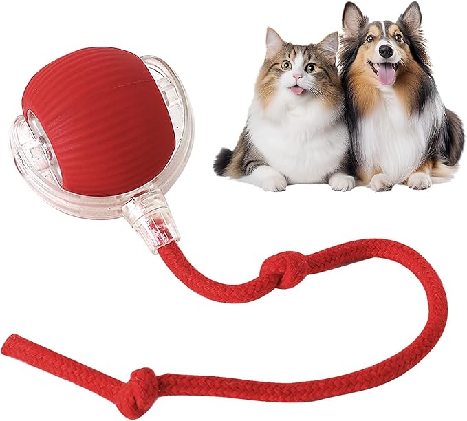 PawDrive™ Interaktive Pet Toy Ball